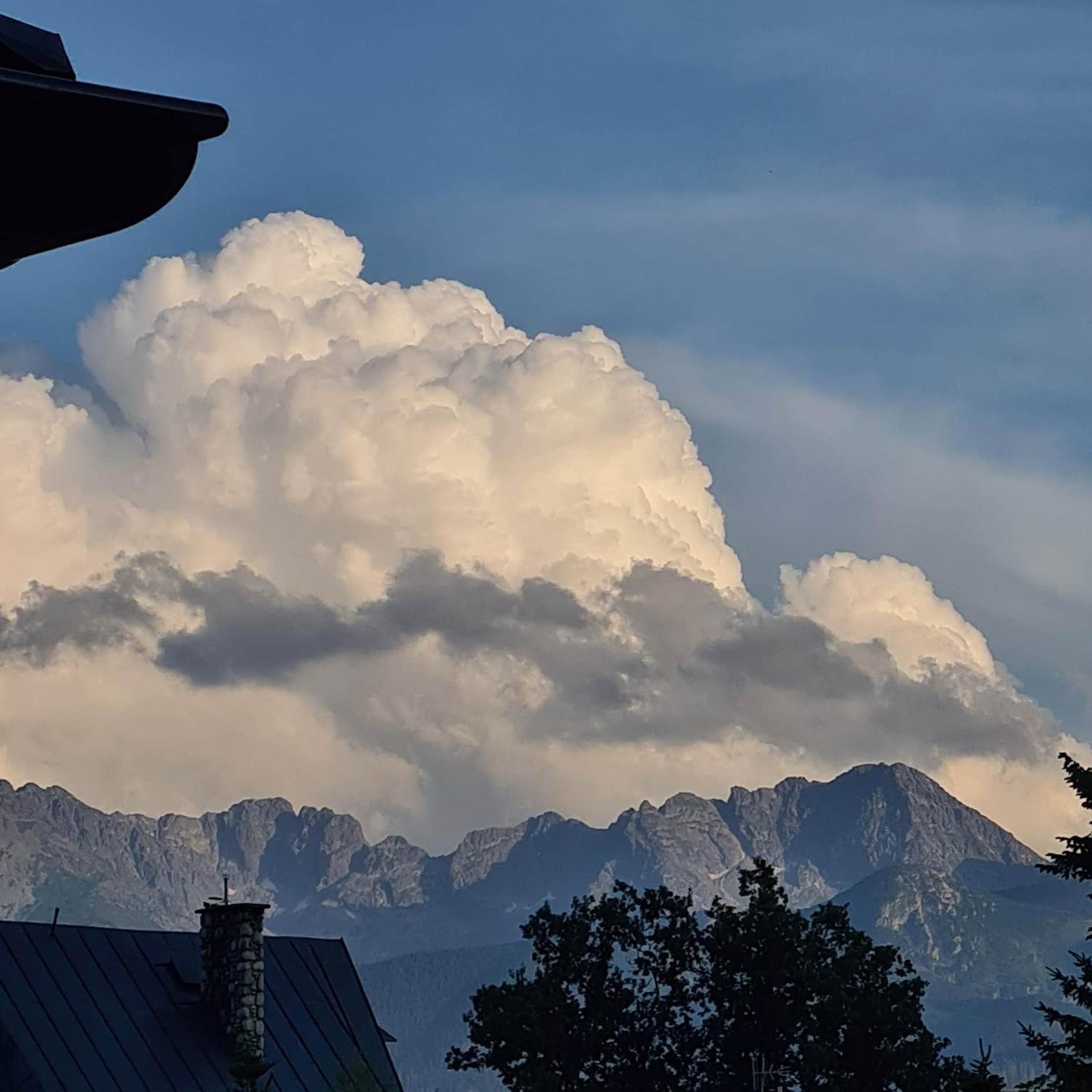 D.W Teresa Villa Zakopane Buitenkant foto