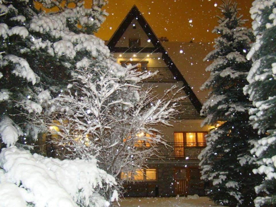 D.W Teresa Villa Zakopane Buitenkant foto