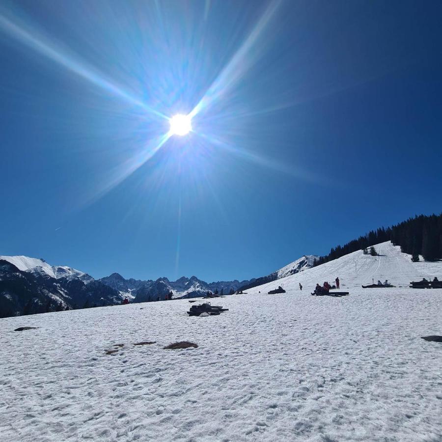 D.W Teresa Villa Zakopane Buitenkant foto