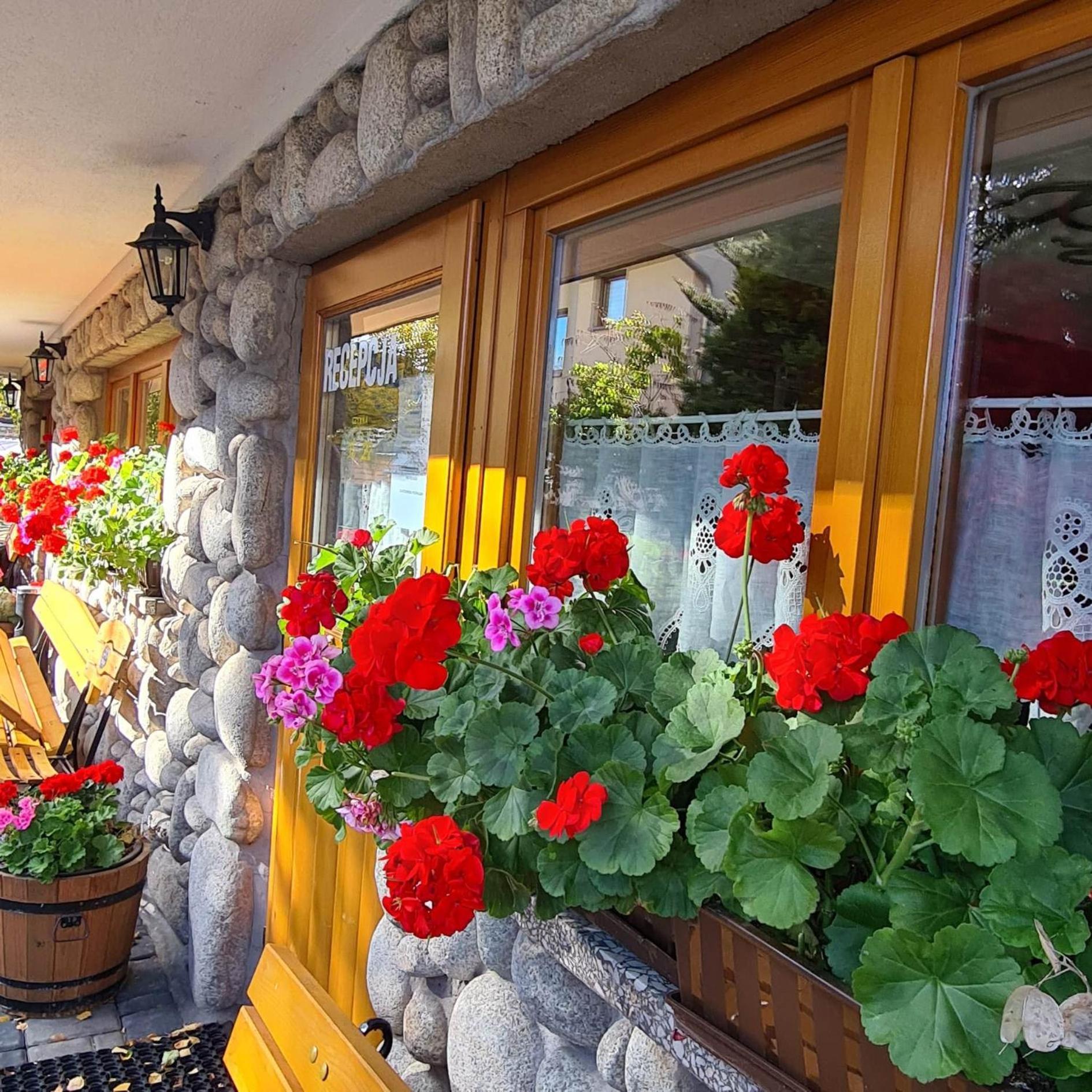 D.W Teresa Villa Zakopane Buitenkant foto